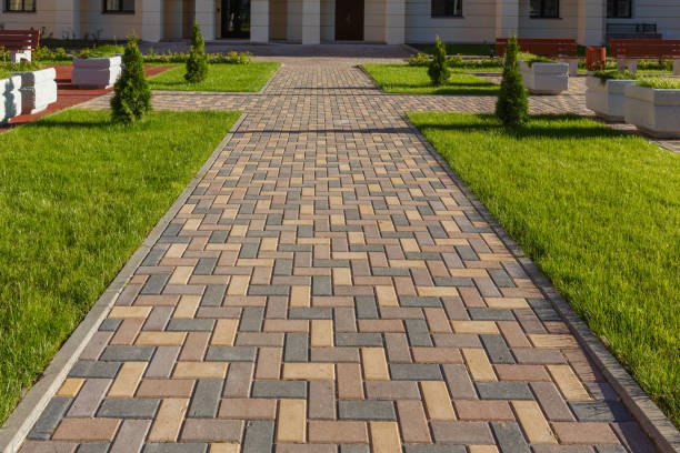 Best Commercial Driveway Pavers  in St Paul Park, MN